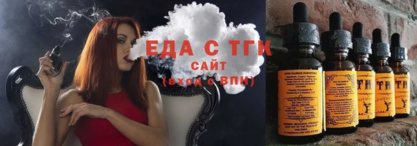 индика Гусиноозёрск