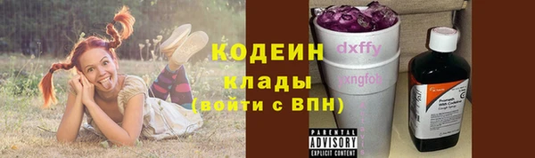 индика Гусиноозёрск