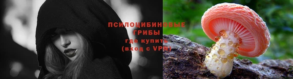 кристаллы Гусь-Хрустальный