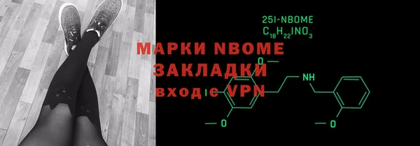 индика Гусиноозёрск