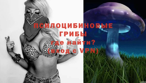 индика Гусиноозёрск