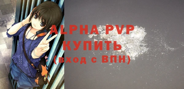 индика Гусиноозёрск