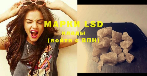 индика Гусиноозёрск