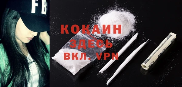индика Гусиноозёрск