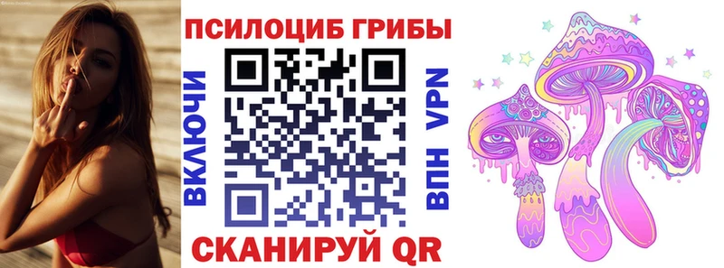 Псилоцибиновые грибы MAGIC MUSHROOMS  Купить закладки  Сасово 